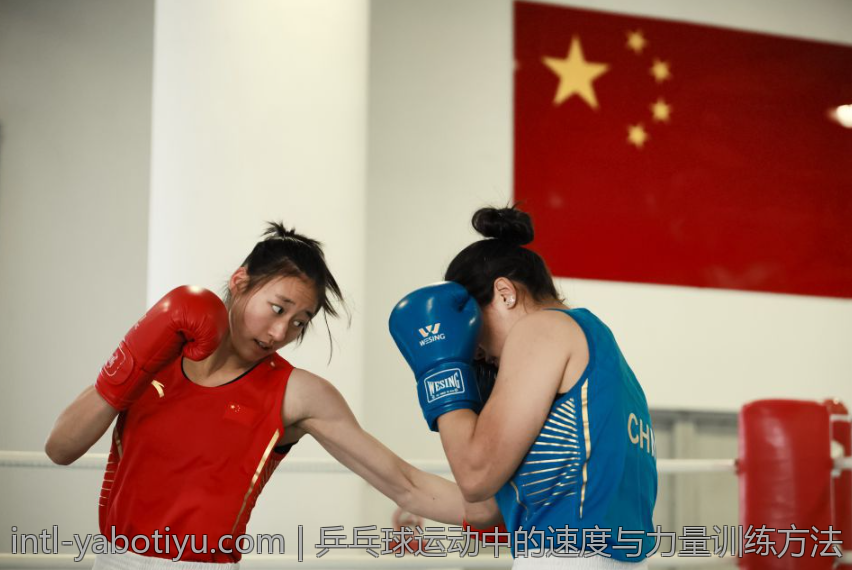 乒乓球运动中的速度与力量训练方法